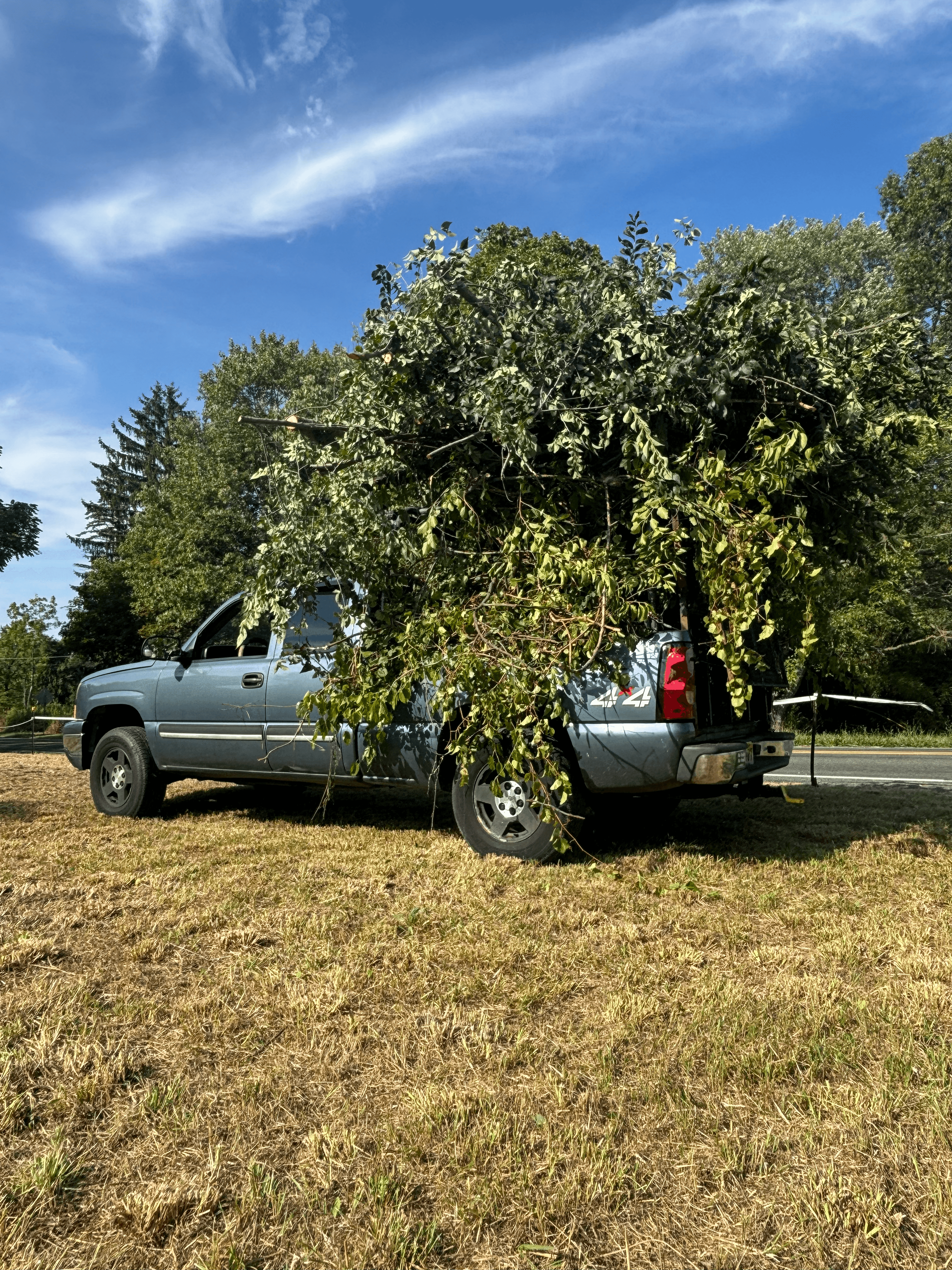 Property edge before cleanup and hauling
