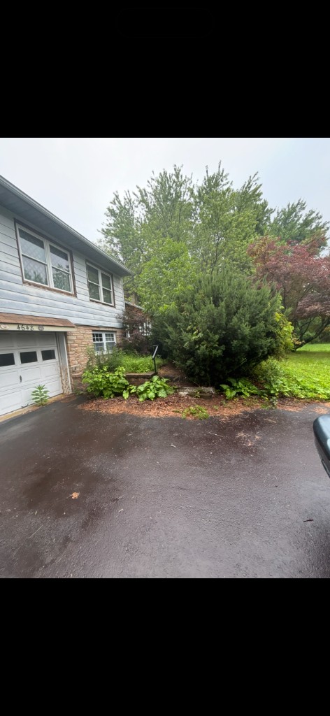 Large overgrown shrub blocking the walkway steps