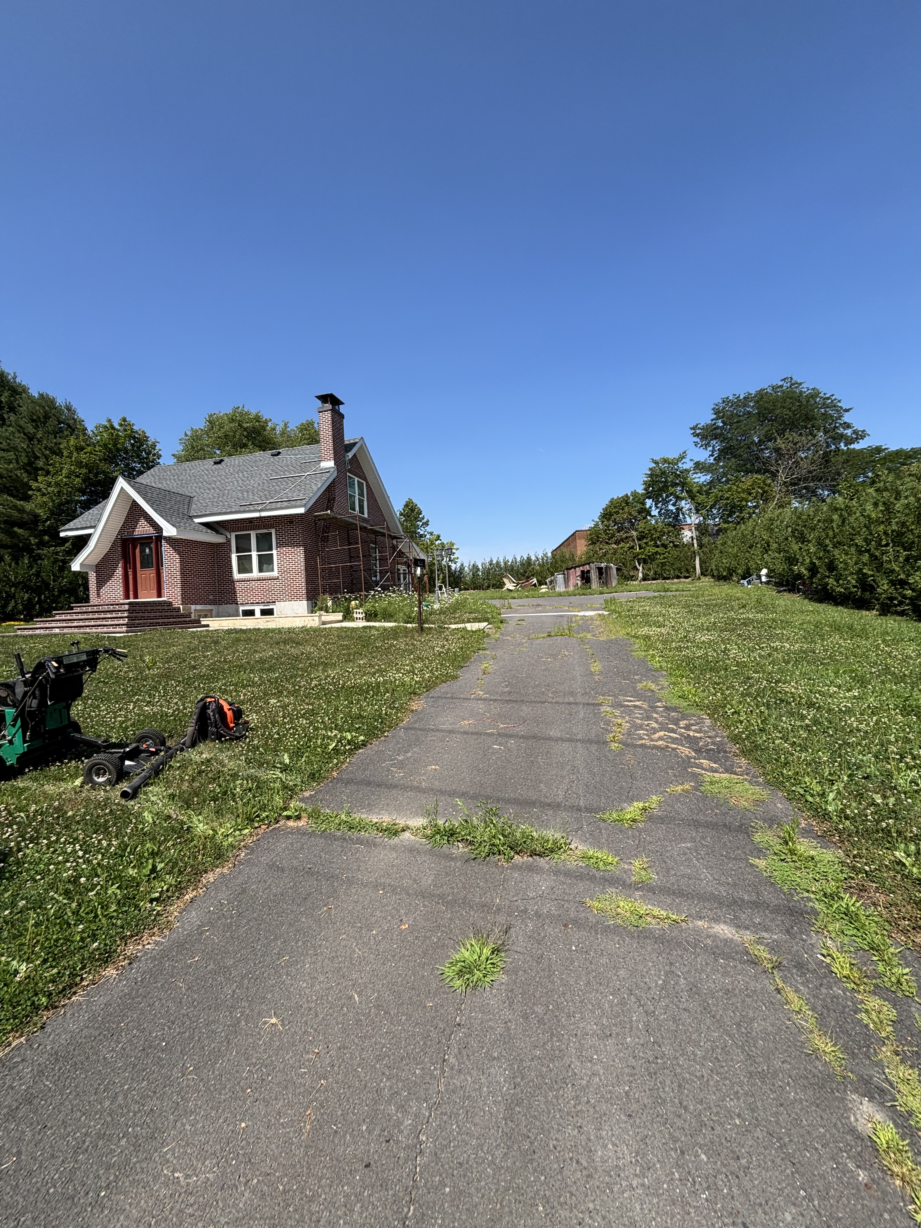 Overgrown driveway before Firefly mowing