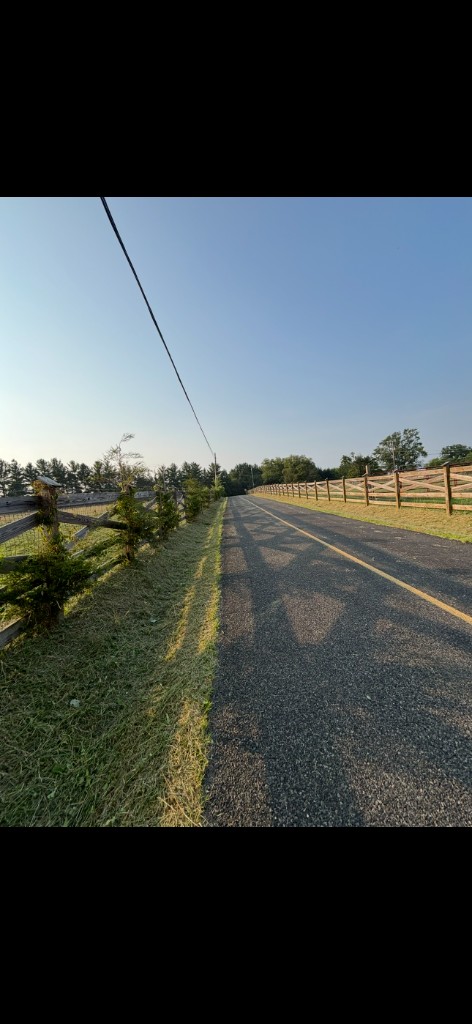 Neatly maintained fence line and driveway edge