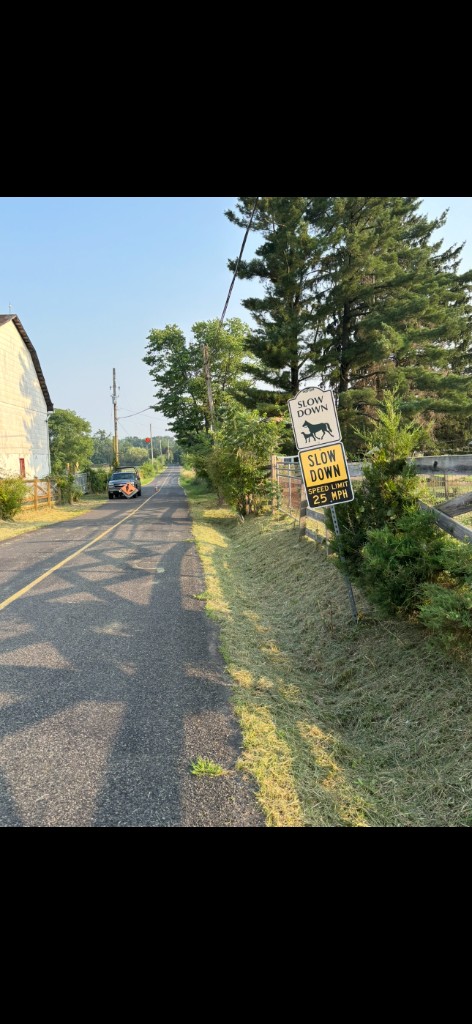 Trimmed roadside with clear slow-down signs