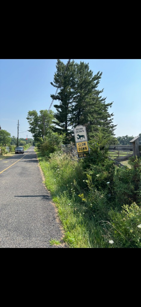 Traffic signs buried in tall weeds