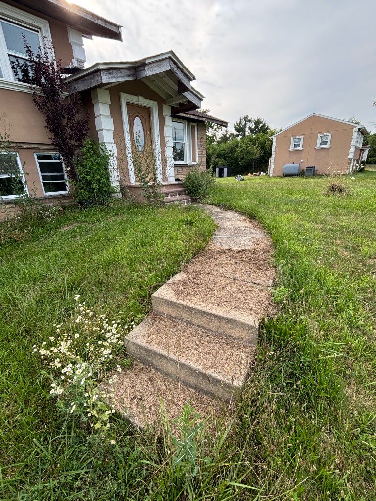 Overgrown front walkway covered in clippings
